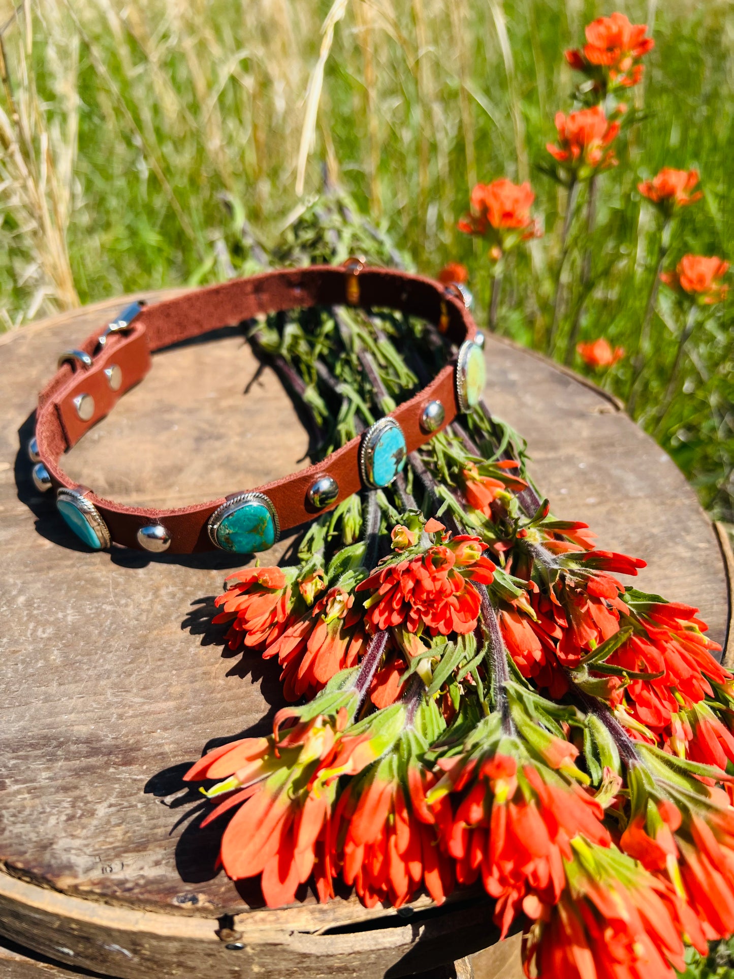 The Harlee Dog Collar - Large