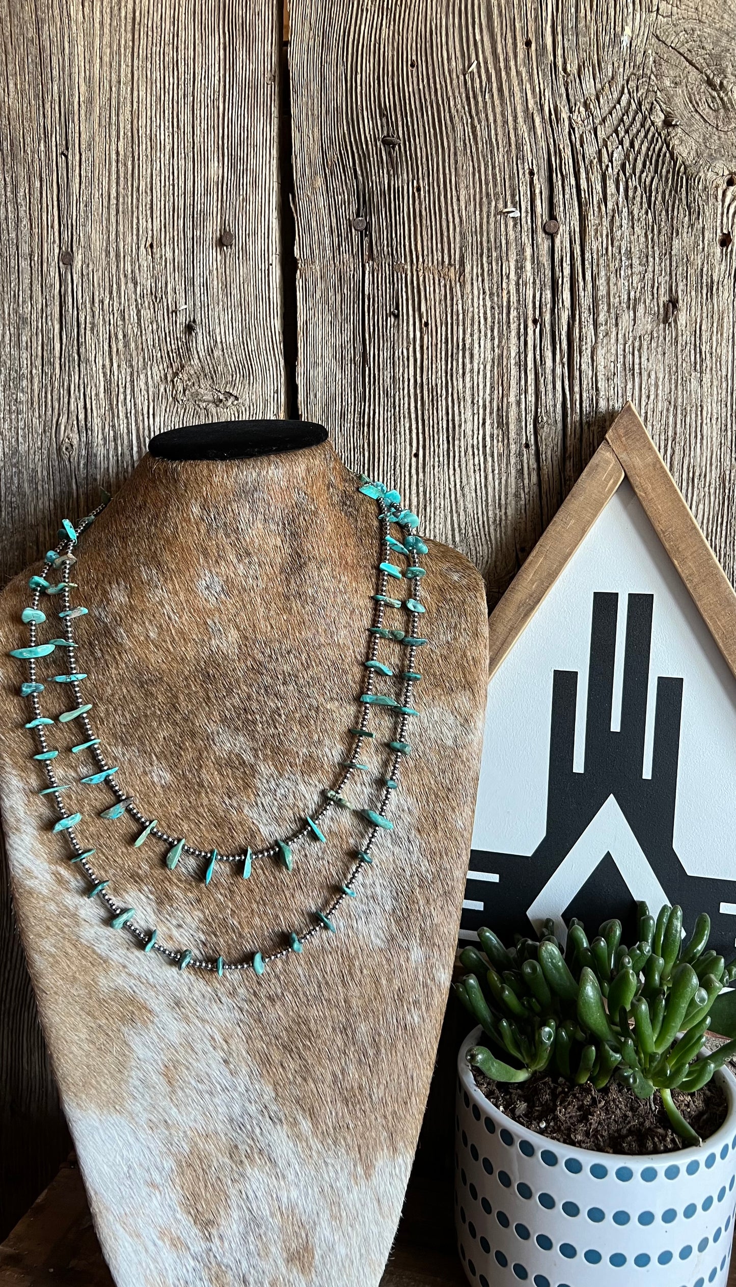 The Stephenville Necklace